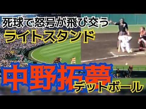 甲子園球場100周年記念ボール　中野拓夢選手　未開封 甲子園スタジアム 100周年記念ボール #51 中野拓夢 - メルカリ