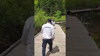 Vid 20240512 Wa0391