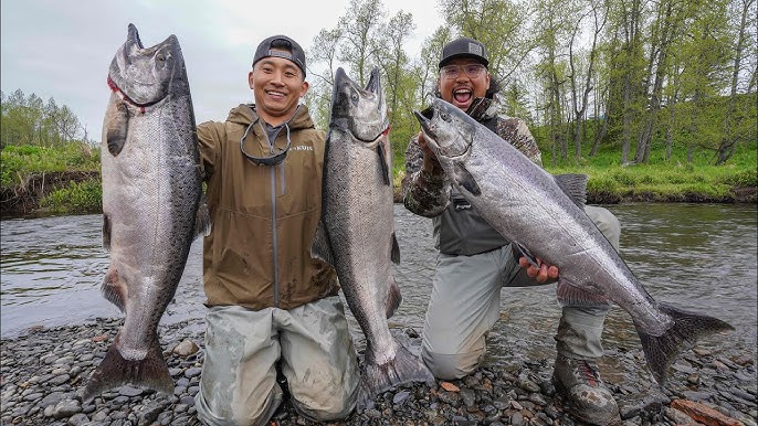 King Salmon Fishing Alaska - Alaska King Salmon Fishing Trips