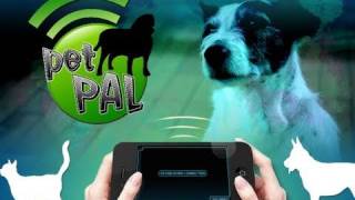 Pet Pal - iPhone application for animal lovers - by Gameloft screenshot 5