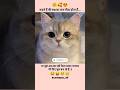 कहते है shabar का फल मीठा होता हैं..#cute #cat #funny #viral #god #fruits #shorts #shortsfeed #love