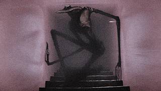 The Pink Hallway (Found Footage #2)