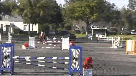 Video of Curio ridden by Eva Tuffanelli from ShowN...
