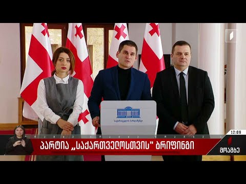 პარტია „საქართველოსთვის“ ბრიფინგი