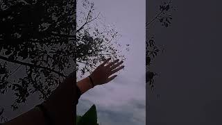 0,5 Camera And My Hand