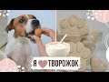 НЕ УДЕРЖАЛАСЬ И СЪЕЛА СОБАЧЬИ ВКУСНЯШКИ!!! | ОЧЕНЬ ВКУСНЫЕ И ПОЛЕЗНЫЕ ЛАКОМСТВА ДЛЯ СОБАК