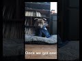 The Staffy we thought we were getting vs the Staffy we got