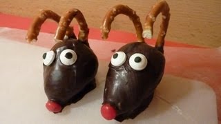 Decorating Strawberries #4: Rudolph Chocolate Covered Strawberries