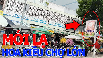 Xuất hiện NGAY CHỢ LỚN - TREO BẢNG PHỐ TRẦU CAU CƯỚI HỎI - KHU NGƯỜI HOA CÁI GÌ CŨNG BUÔN BÁN SỈ LẺ