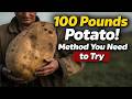 The Secret Method That Grew A 100 Pound Potato 