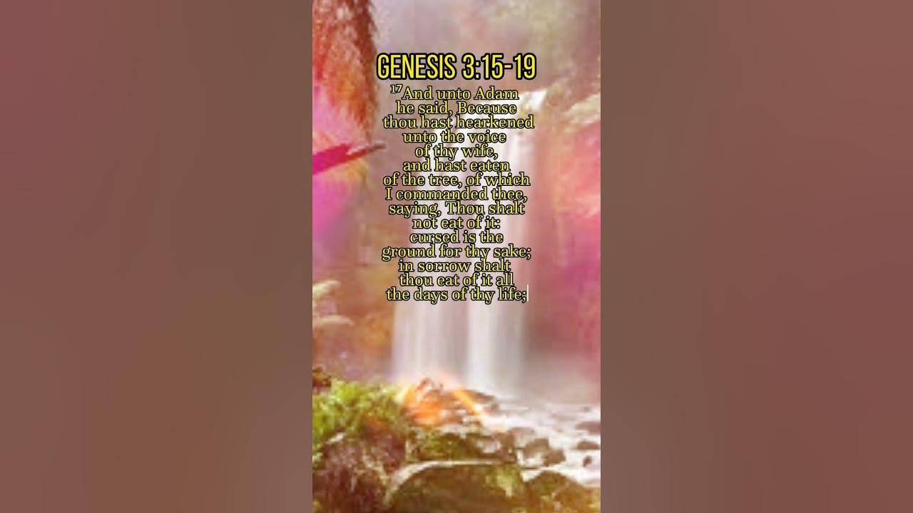 genesis-3-15-20-michelle-mvlog-the-bible-bible-genesis
