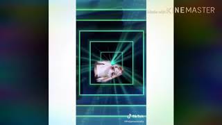 Freja Renstrom Musical.ly Tiktok Compilation New