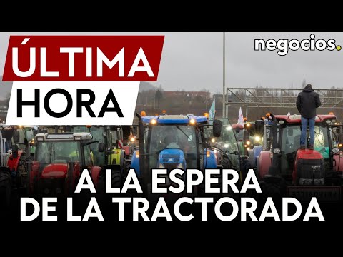 &Uacute;LTIMA HORA | Cientos de agricultores se concentran en la Puerta de Alcal&aacute; a la espera de tractorada