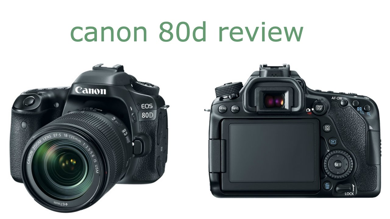 canon 80d review