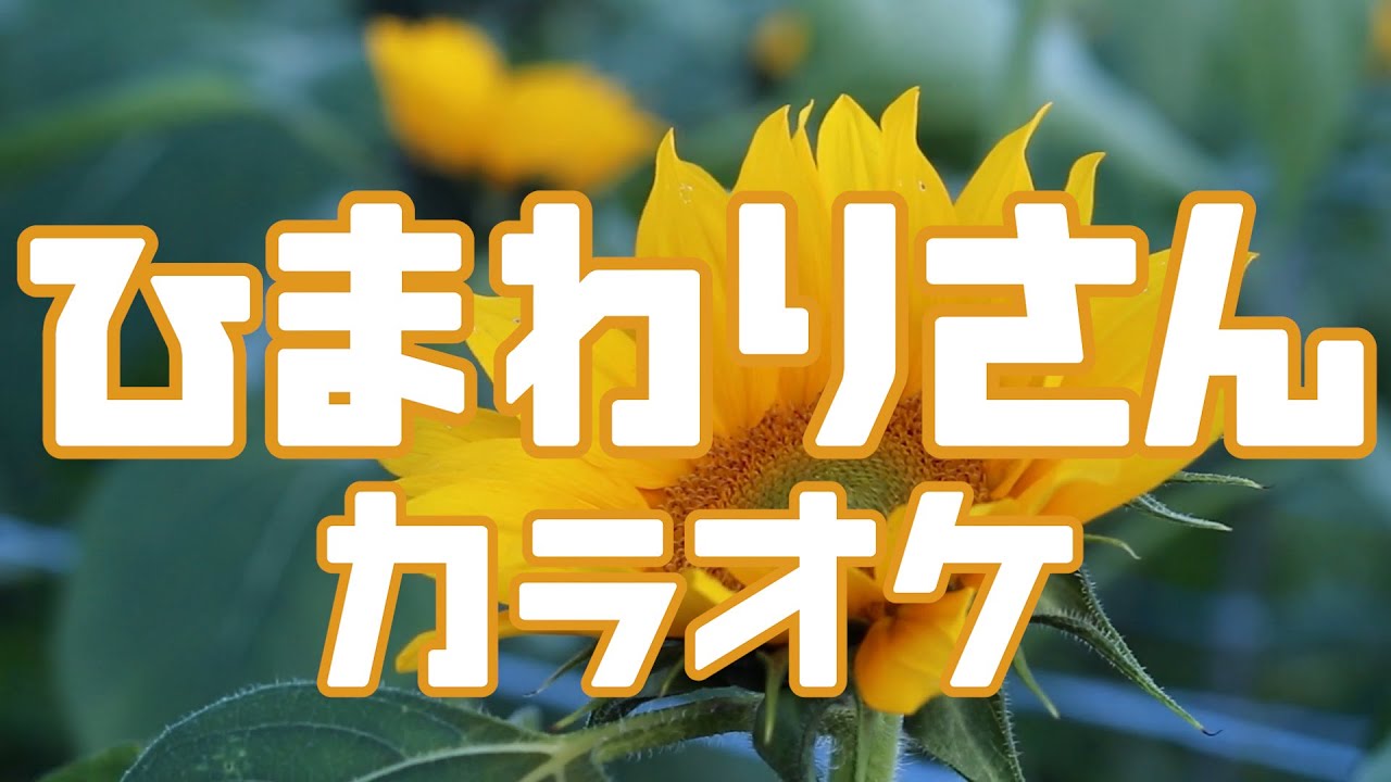 ひまわりさん【カラオケ】 - YouTube
