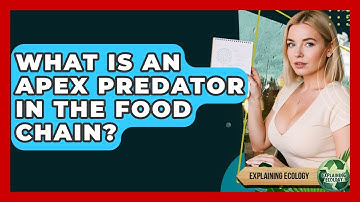 What Is An Apex Predator In The Food Chain? - Explaining Ecology