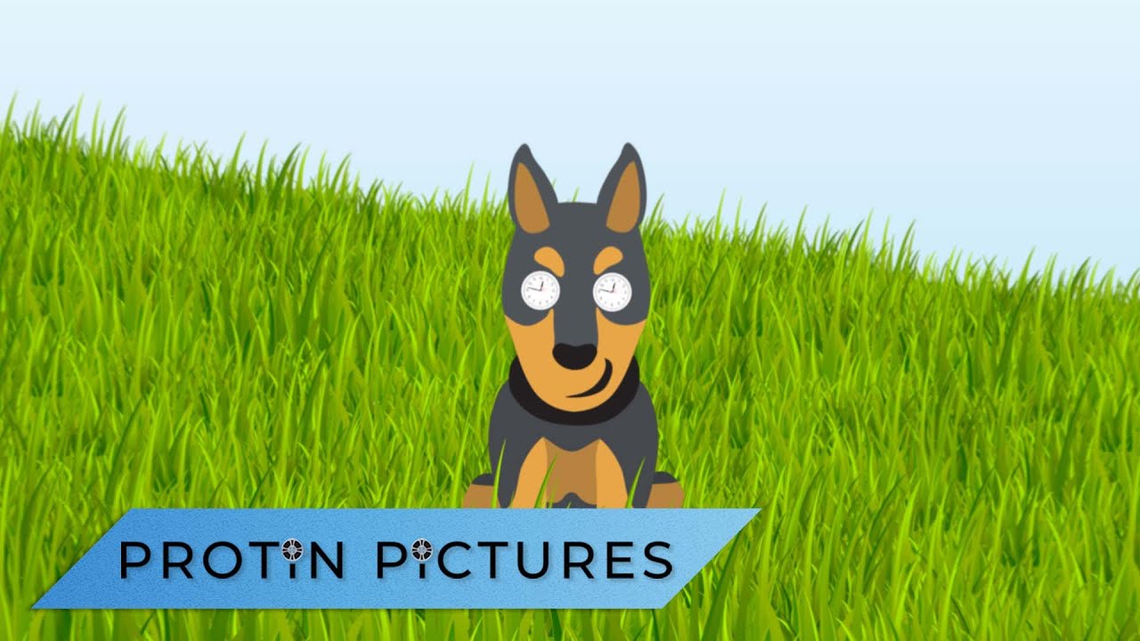 Animated Science Explainer Example: "A Dog’s Nose Allows it to Travel Through Time"