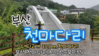 부민산공원 영상