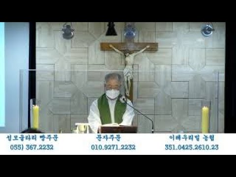 영상썸네일