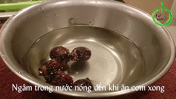 Nhà Mình dùng bồ hòn rửa bát