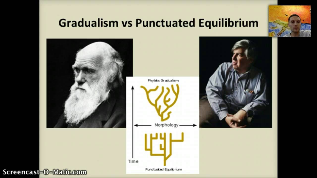 IB 10.3 Gene Pools & Speciation YouTube