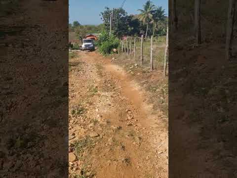 TRUCKS NEED ROAD TO DRIVE ON MR POLITICIAN MAN 👨