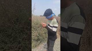 kanne arpi cut madakke alli tandu nadkonta hogtini please support madi maredare like and subscribe