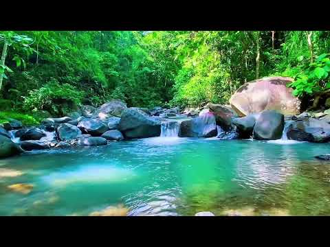 Relaxing River Sounds in the Mountains