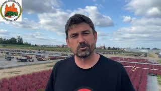 Callunen-Ernte Bei Gartenbau Stahl