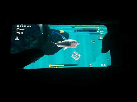 Играю в игру Hungry shark evolution. Забираю свои награды.