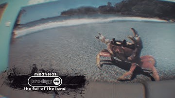 The Prodigy - Mindfields (Live in Russia)