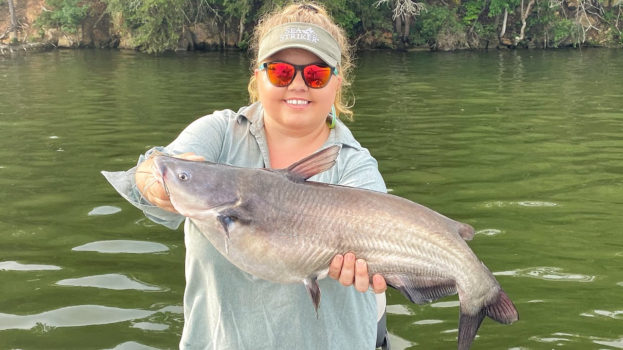 Crappie & Perch at Badin Lake, NC (with an unexpected surprise !) NC
