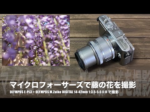 OLYMPUS PEN Lite E-PL3 14-42mm レンズキット No.82：OLYMPUS PEN Lite E-PL3 レンズキットで藤の花を撮影〜レンズ