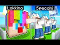 CASA SPECCHI di LOKKINO CONTRO CASA CIRCO dei CLOWN!! MINECRAFT ITA