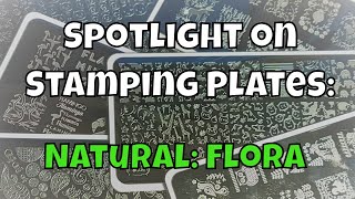 Spotlight on Stamping Plates: Natural: Flora
Hi everyone! This is a showntell type video - ZERO bells and zero whistles! Just a brief run through of my plate collection. Thanks for watching! Keep reading for more info...........
On my nails: OPIs Is Mai-Tai Crooked? and Ill Tinsel You In
Spotlight on Stamping Plates Playlist: https://www.youtube.com/playlist?list=PLuSbpurDWsWGOwDZrcCU3GcJB7HWGtPwv
.....................................................
LIQUORED AND LACQUERED:
Every Tuesday I will upload a new video in the series. In each video, I will pick a theme or look at favourites, and all while enjoying a glass of wine or a nice alcoholic beverage. ;) :) (Always drink responsibly, folks!)
If you have any themes or favourites you would like me to cover or collab with me on, comment below.
.....................................................
CHATTY FRIDAY! :
Join me every second Friday for a more informal video and a chat!
.....................................................
I have a non-ASOIAF related podcast with my husband. It is called The Way We Are. If you fancy checking it out, you will find more information below.
Links:
-Website - https://www.thewaywearepodcast.com/
-Instagram - https://www.instagram.com/thewaywearepodcast/
-Soundcloud - https://soundcloud.com/thewaywearepodcast
- iTunes - https://itunes.apple.com/ch/podcast/the-way-we-are-podcast/id1410085755?l=en&mt=2
-Twitter - @TheWayWeAre_POD
-Facebook - https://www.facebook.com/thewaywearepodcast/?ref=aymt_homepage_panel
-Tune In - https://tunein.com/podcasts/Culture/The-Way-We-Are-p1142015/
-Acast - https://www.acast.com/thewaywearepodcast
................................................
READING A SONG OF ICE AND FIRE
Join Clare and me every Sunday night at 7pm UK time for our live discussion of the book series on my ASOIAF /GOT channel.
Catherine Cronin: https://www.youtube.com/channel/UCEt1ypbo5I6iA00mmc-TlZw
..................................................
HOUSE POLISHED:
Get your Game of Thrones and Nail Polish fix in one place!! Join Clare, Lisa and me for our reviews. We will split the episodes between our channels. But we will give you plenty of notice where you can find us.
Collab video: https://www.youtube.com/edit?o=U&video_id=vsvX3NFiBRM
Lisa: https://www.youtube.com/user/lisahendy7
Clare: https://www.youtube.com/user/claregraycg
.....................................................
INSTAGRAM:
Follow me on Instagram at:
https://www.instagram.com/mrscronall/...
.....................................................
Intro. music: Rank and File by Silent Partner Spotlight on Stamping Plates: Natural: Flora