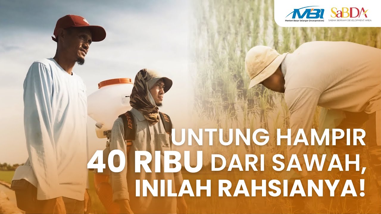 Guru Sepenuh Masa, Petani Padi Sepenuh Hati! 