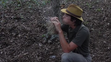 Bushcraft Fire Making Using Lamp Wick, Flint and Steel