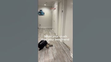 Thumbnail of When your crush likes your best friend #funny #relatable #memes #fyp #foryou