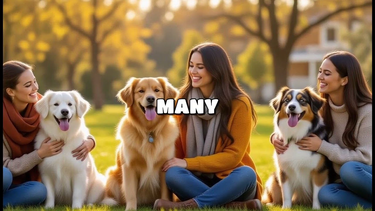 Healing Paws: The Transformative Power of Therapy Dogs in Life's Toughest Transitions