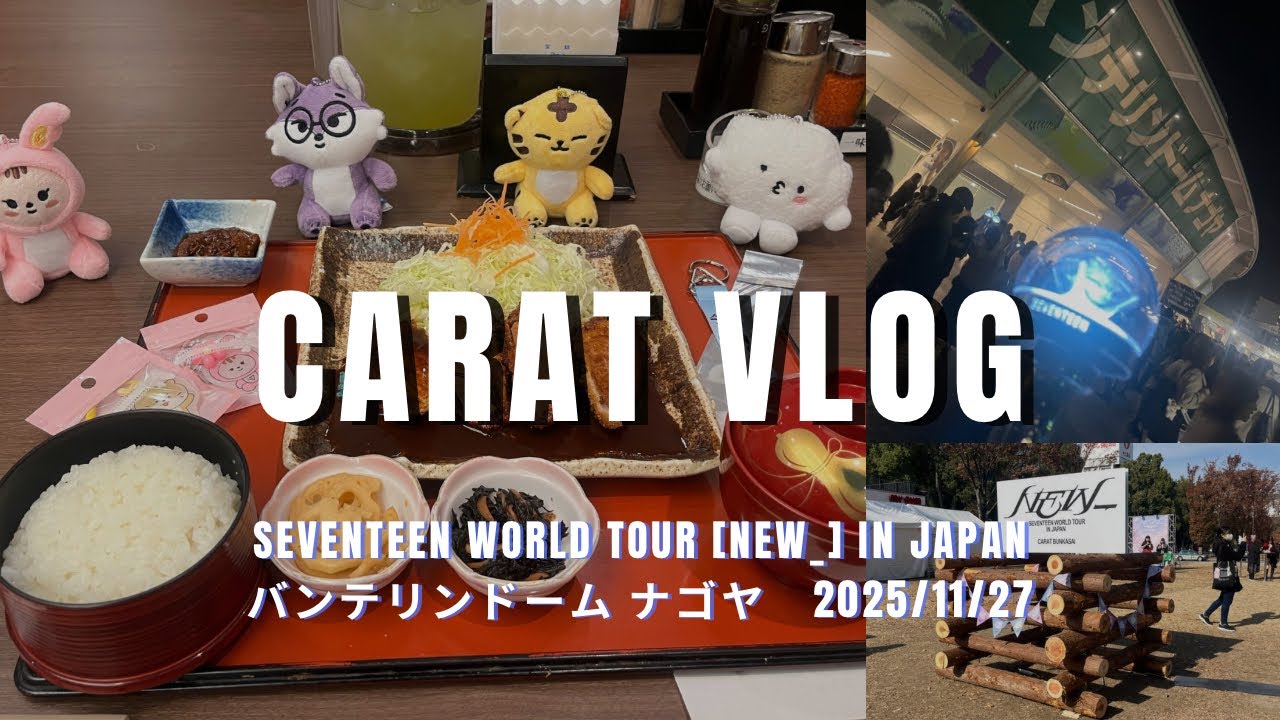 【CARAT】SEVENTEEN[NEW_] IN JAPAN💎 バンテリンドームナゴヤ初日参戦vlog
