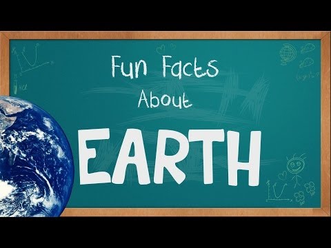 Fun Facts for