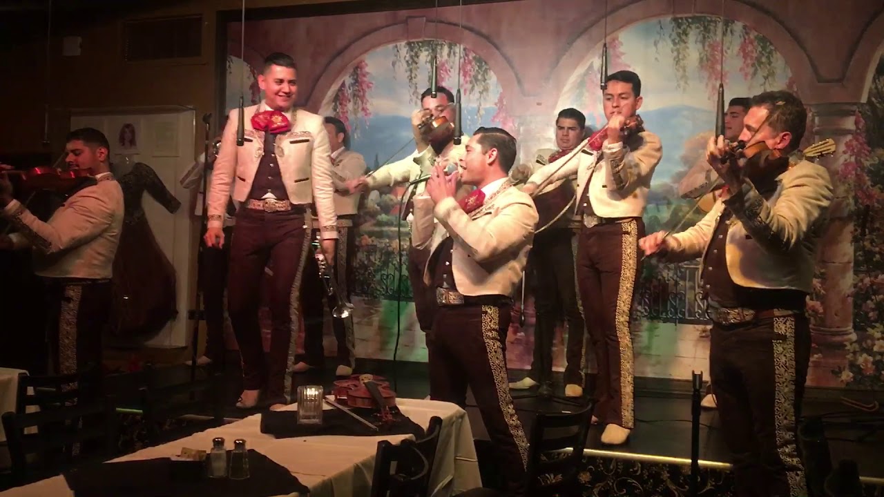 Camino de Aguascalientes | Mariachi Sol de Mexico