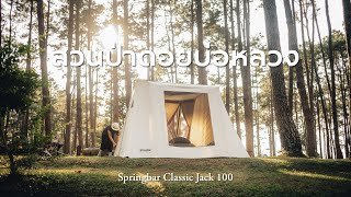 CAMPING | Golden Hour in Pine Forest | Springbar Classic Jack 100 | Doi Bo Luang Forest Park