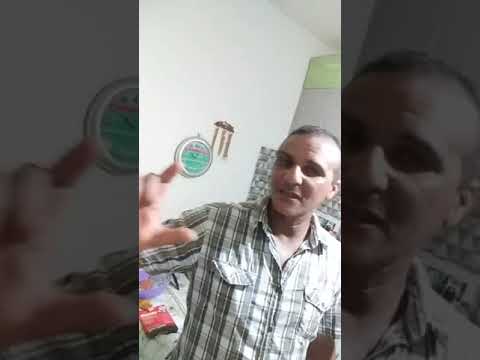 زيت النعناع لإزالة الرائحة الكريهة لكلبك