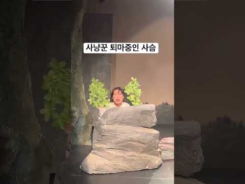 리허설도 <strong>실전처럼</strong> (feat. 사딸라)