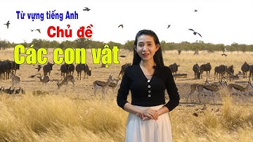 Học từ vựng Tiếng Anh chủ đề CÁC CON VẬT - Miss Dung Tân Châu