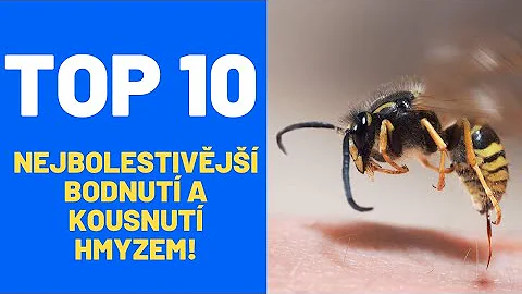 Co se týče hmyzu?