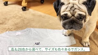 うしさん:おパグさんワールド(一点もの) YouTube