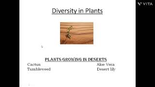 Science - Diversity in Plants - Grade 7 - #science #grade7 #diversity #plants