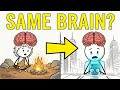 Why Your Brain Is Still In The Stone Age?